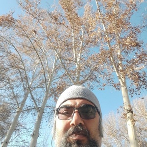 محمد زارعان