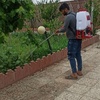 نقی نودهانی