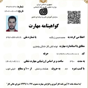 محمدحسن زنگنه