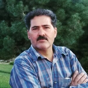 هوشیار پوریوسفی