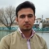 وحید ویسی