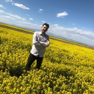 مسعود معصومی