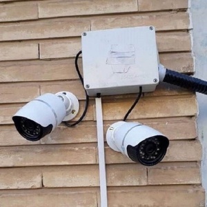 قاسم عالی محمودی