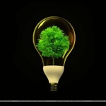 امیرحسین بازرگان