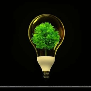 امیرحسین بازرگان