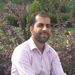 تورج نجیبی