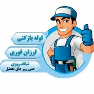 ابوالفضل بختیاری بسطام