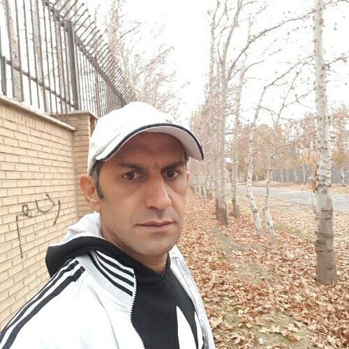 رضا محمداولاد