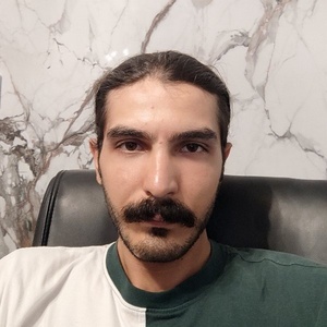 امیر حسین زاده