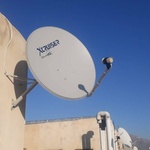 مهدی طیبی فرد