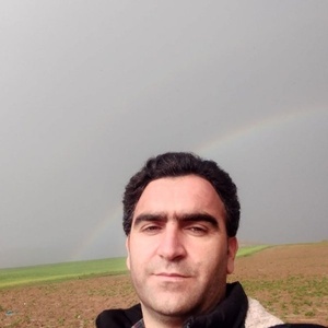 سید جواد موسوی