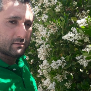 محمود نوروزی کفترودی