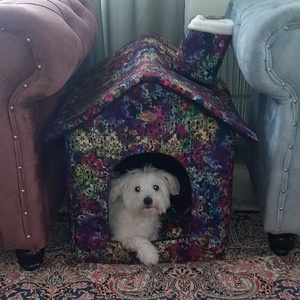 فهیمه شهیدی آزاد