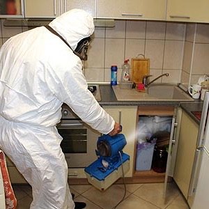 محمد علی عناصری