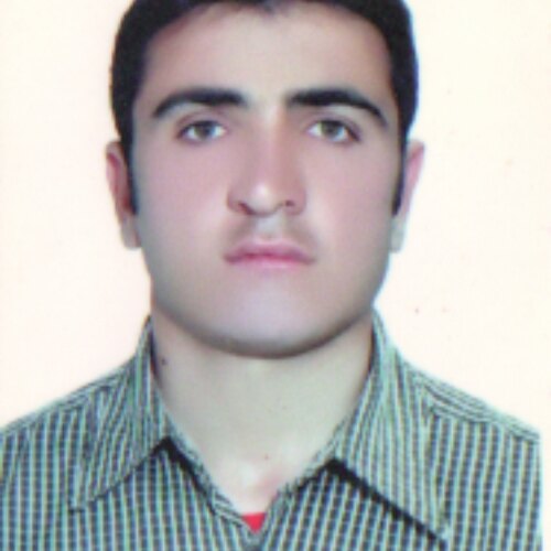 موسی حاتمی زاده