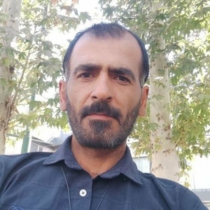 میرهادی موسوی گل لر