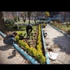 مصطفی شهسوار حسینی