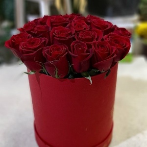 اشکان کوشکی