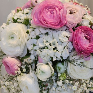 فاطمه حنیفی مجاوشینی