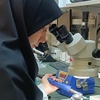 مهدیه نصیری