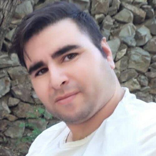 احسان دلبری