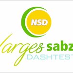 مهدی حاج محمد مهدی سقط فروش