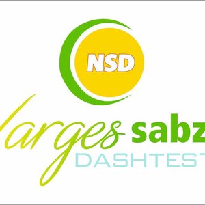 مهدی حاج محمد مهدی سقط فروش