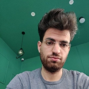 سید محمد مهدی صدری