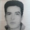 عکس کاربر مجتبی کمالی گوکی