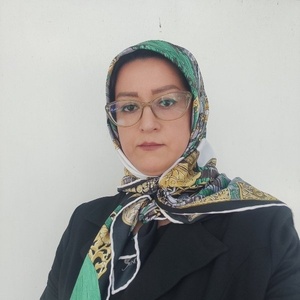 منیره ابراهیمی پناه