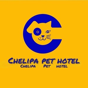 سید مهدی حسینی نسب