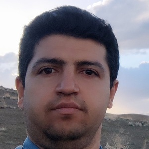 وحید گلسرخی راد