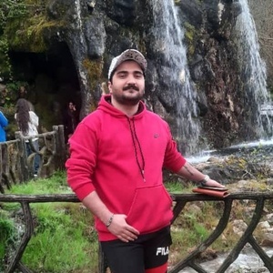 سیدشروین مهردل