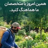 مجید نودهانی