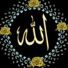 قاسم پاشا زانوس