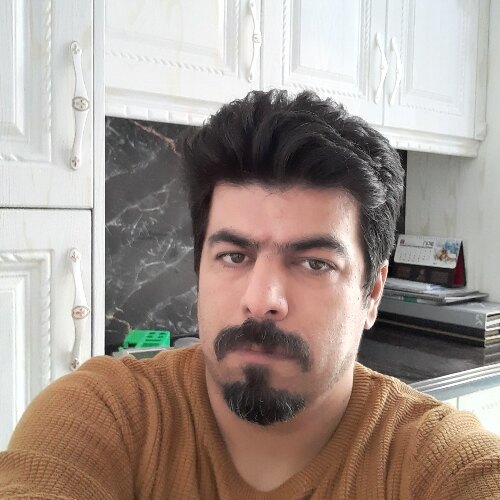 امیر گلمحمدی