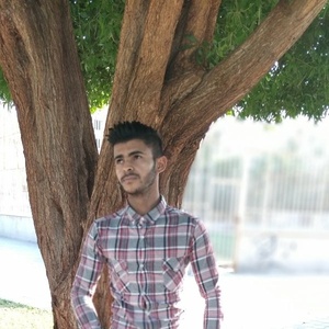 شاهین  عالمگیر