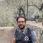 مهرداد نبوی