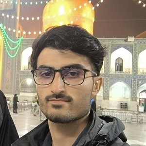 علی برزنونی