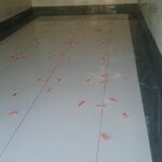 محسن بخش آبادی