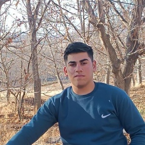 محمود بابازاده قلعچه