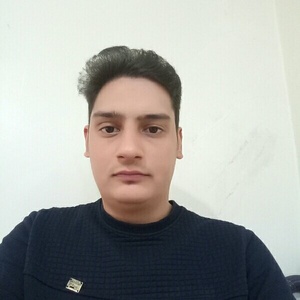 حسن امانی دالنجان