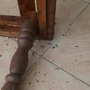 طاهره شفقی