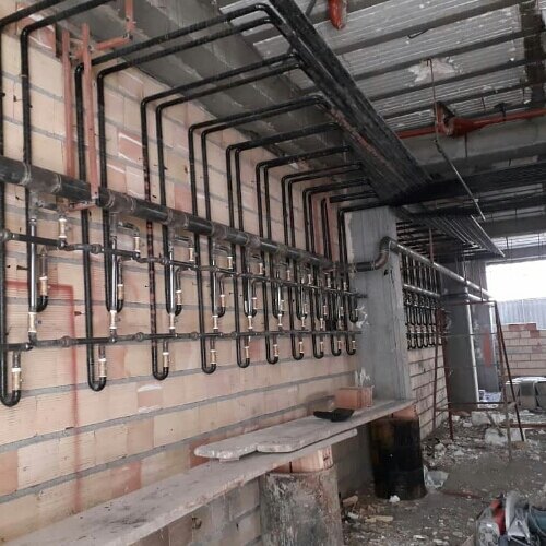 محمدرضا جاوید