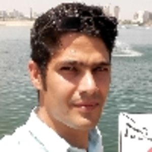 سید مهدی رستمی