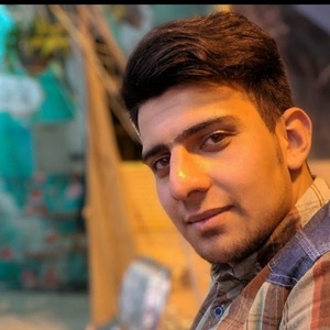 امیر حسین لطفی