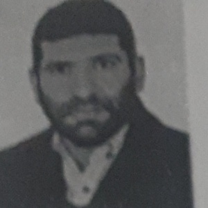 علی سنجری مورچگانی