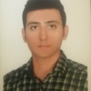 فرید منصوری