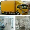 سیدمرتضی موسوی کیا