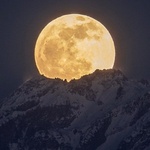 حامد عبدی خانقاه